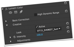 DJI Osmo One Click Color Grading